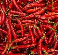 Red chilli bulk export India