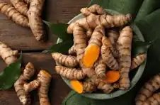 Premium turmeric fingers India bulk export